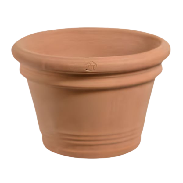 Vaso antiqua liberty