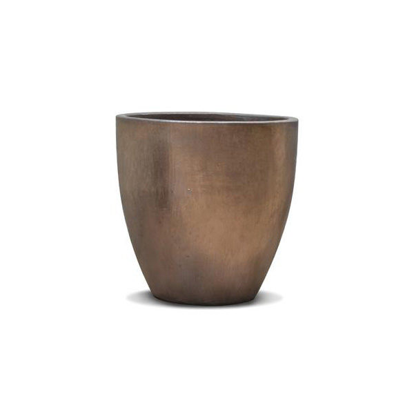 Moster bronze