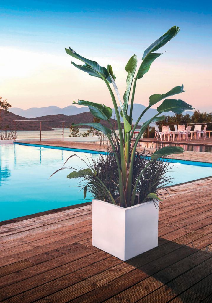 Paolelli Outdoor